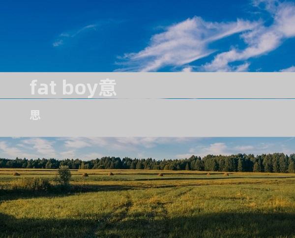 fat boy意思